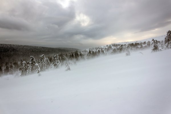Снежная буря в горах