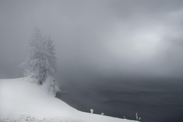 Снежная метель