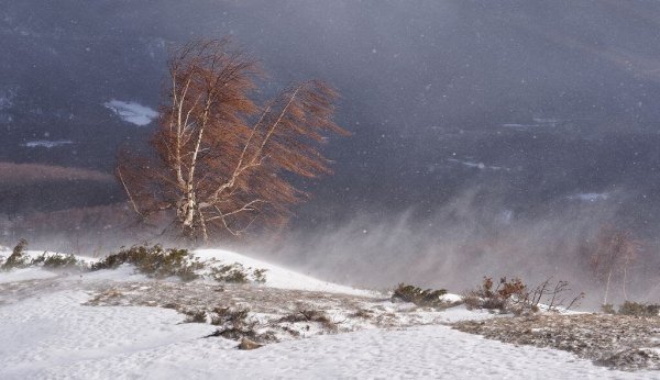Метель явление природы