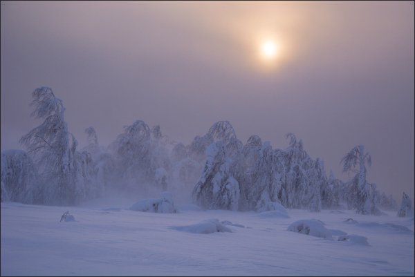Зима метель