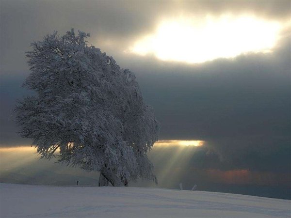 Зимняя буря