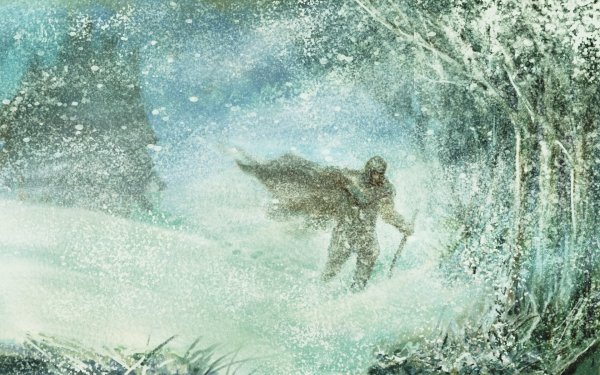 Буран метель