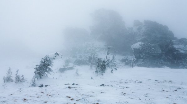 Снежный Буран