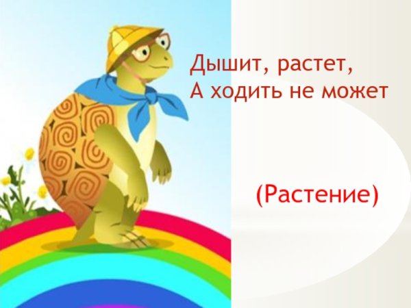 Муравьишка из окружающего мира