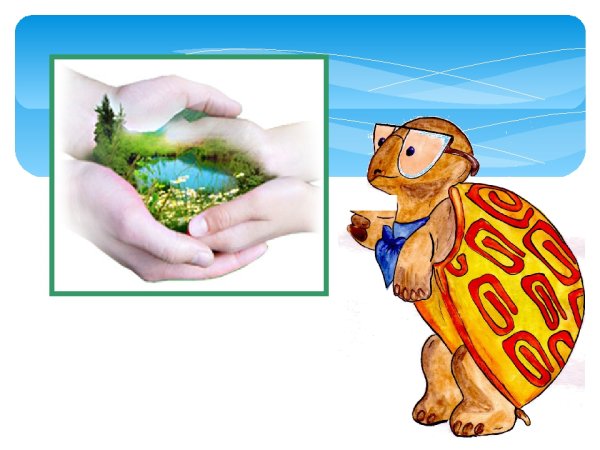 Мудрая черепаха