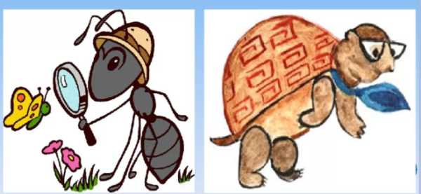 Муравьишка вопросик и мудрая черепаха