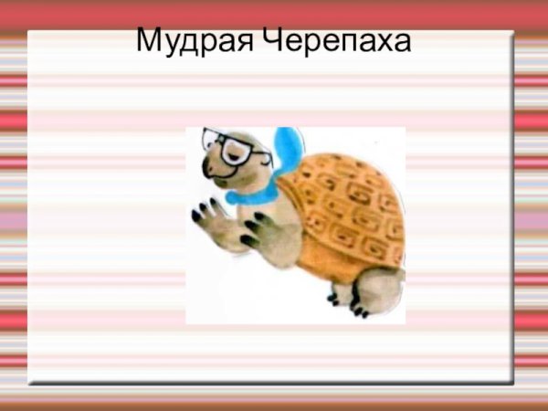 Мудрая черепаха на белом фоне