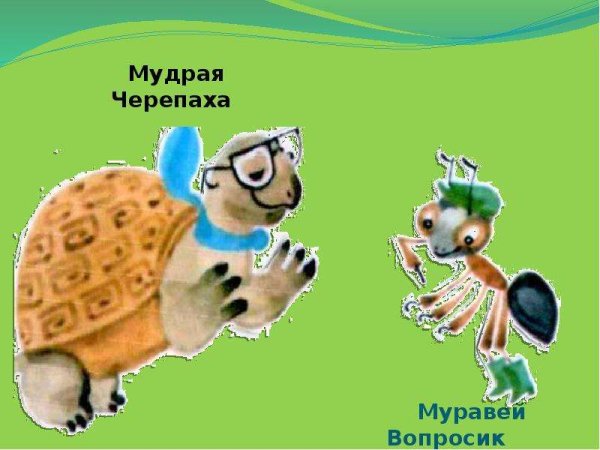 Мудрая черепаха