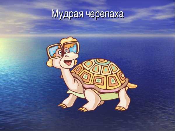 Мудрая черепаха рисунок