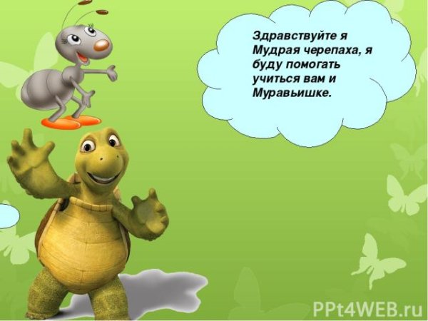 Черепашка окружающий мир