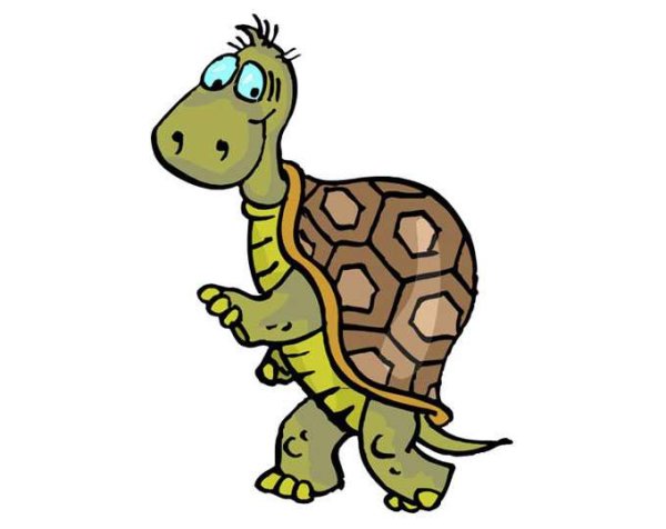 Мудрая черепаха