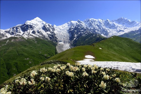 Ледник Грузия Сванетия