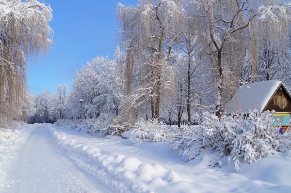 Красота зимы