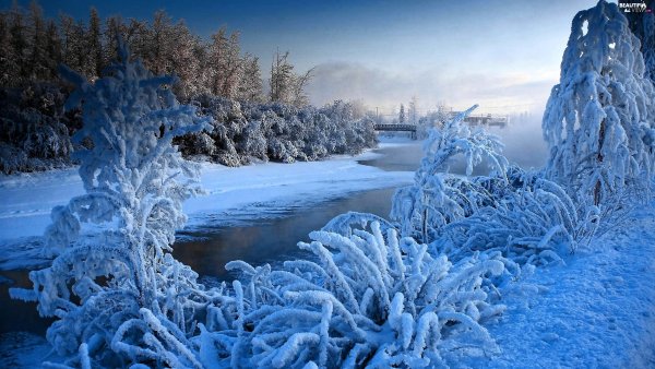 Самая красивая зима
