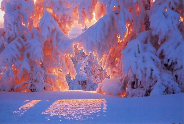 Красота зимы