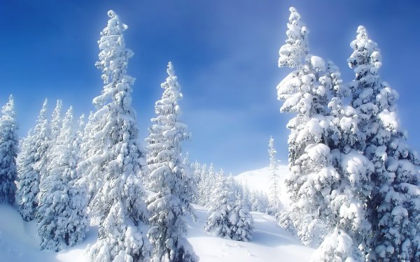 Снежная зима