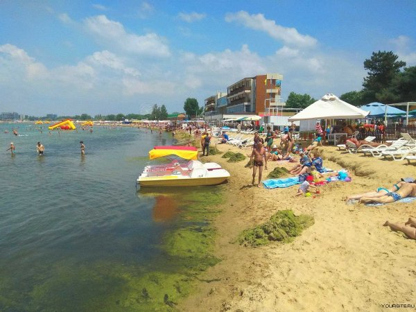 Анапа море цветет