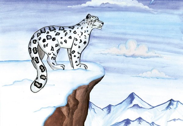 Снежный Барс рисунок для детей