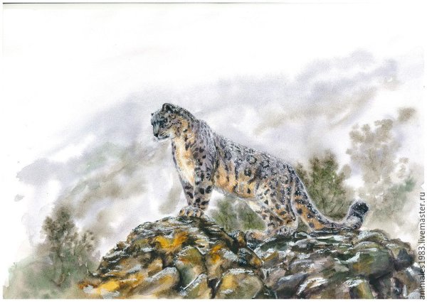 Снежный Барс ИФЗ