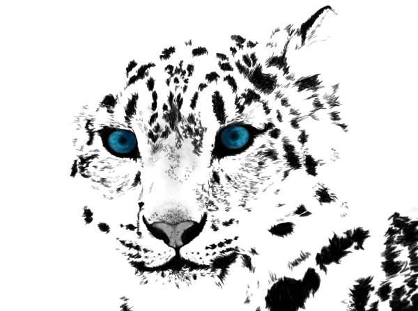 Снежный Барс рисунок