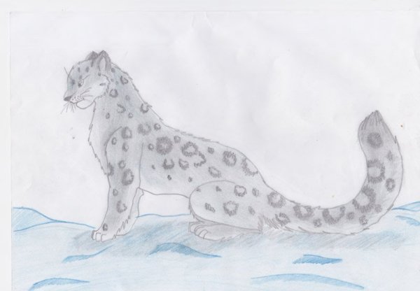 Снежный Барс рисунок для детей