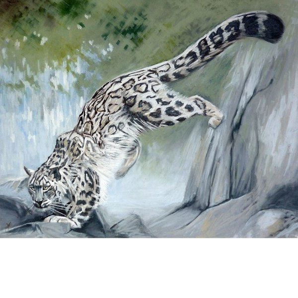 Художники анималисты снежный Барс Ирбис