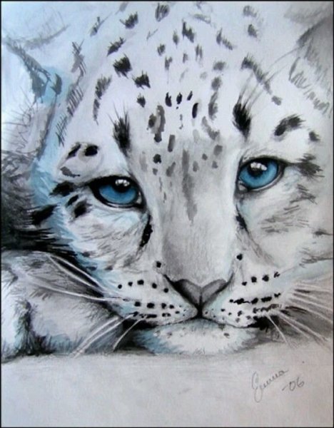 Ирбис акварель