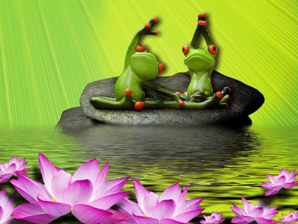 Обои с лягушками