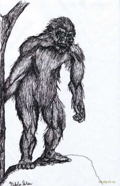 Снежный человек в полный рост