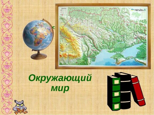 Урок окружающий мир