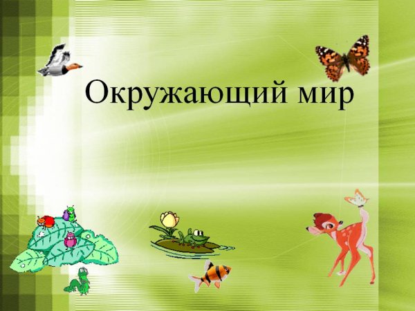 Урок окружающего мира
