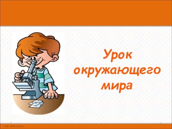 Урок окружающий мир