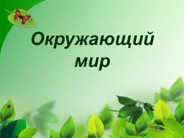 Урок окружающий мир