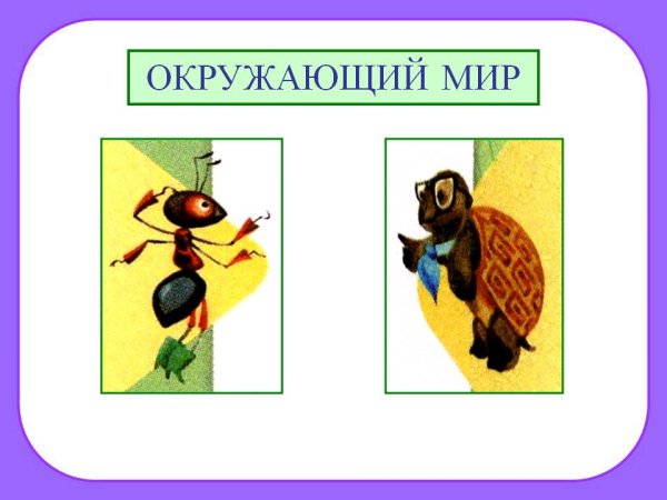 Урок окружающего мира