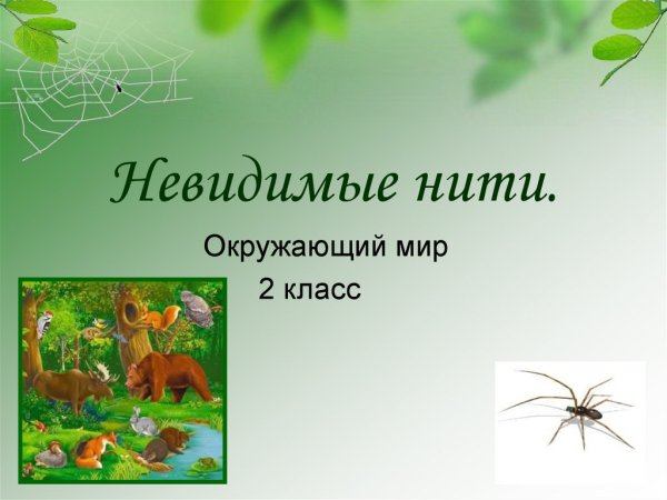 Окружающий мир неведомые нити