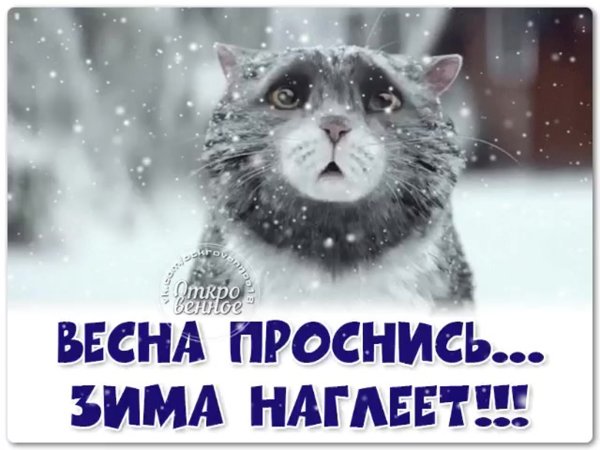 Весна Проснись зима наглеет