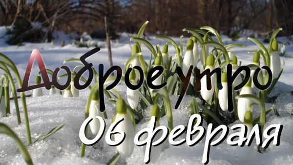 Доброе утро завтра 8 марта