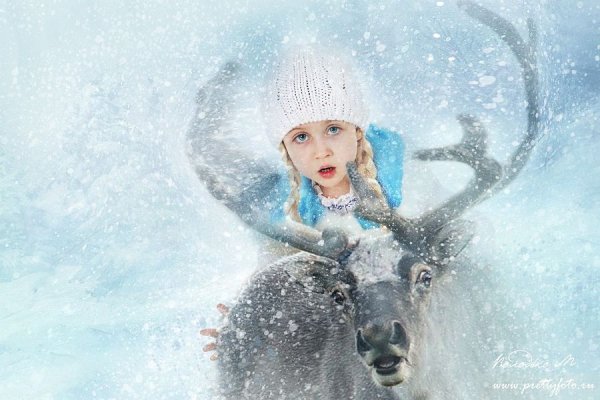 Герда и Северный олень Снежная Королева