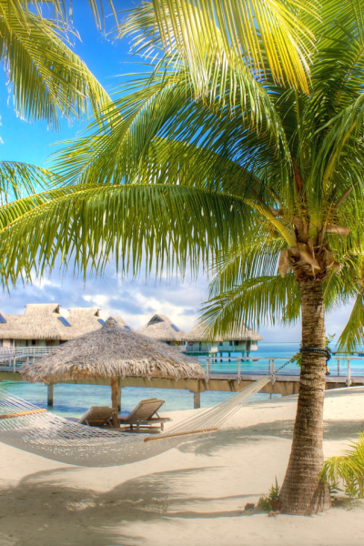 Море пляж пальмы