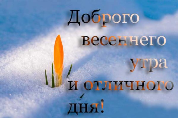 С добрым утром март снежный