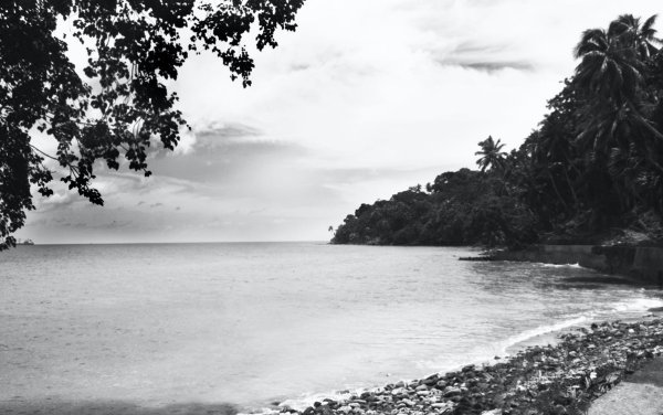 Черно белый пляж