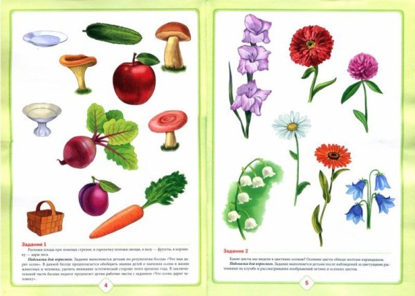 Задания по экологии для дошкольников