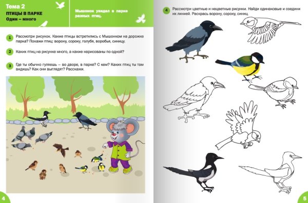 Птицы задания для детей