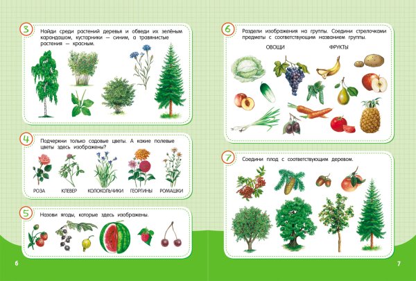 Окружающий мир задания для дошкольников