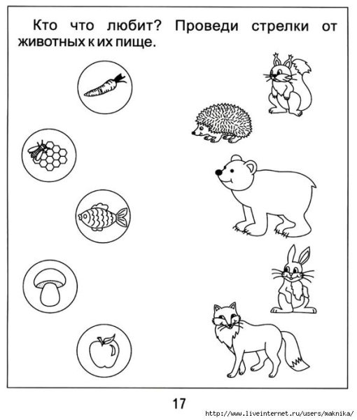 Животные задания для дошкольников