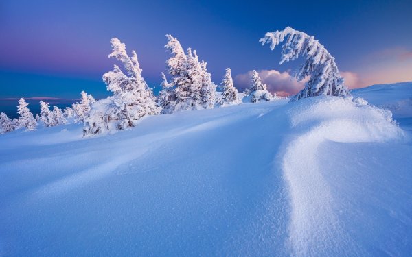 Много снега красиво