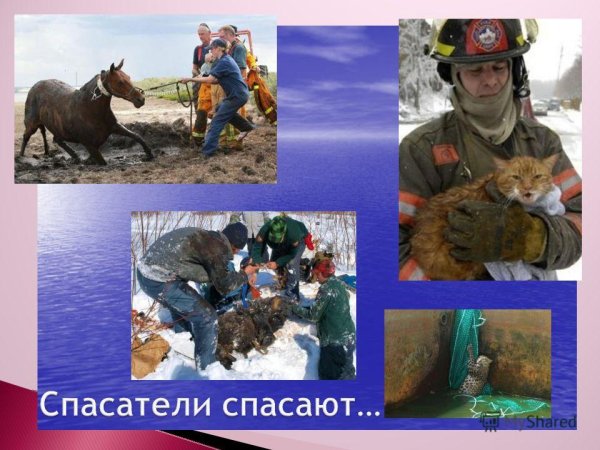 Проект на тему спасатели