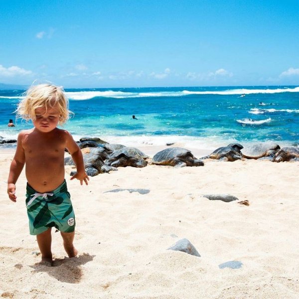 Малыш на пляже