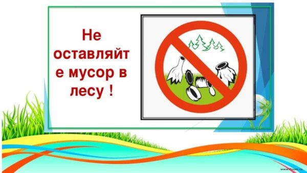 Табличка не мусорить в лесу