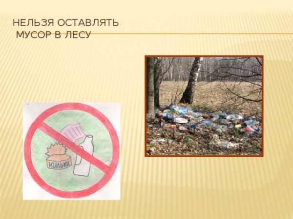 Знак не мусорить на природе